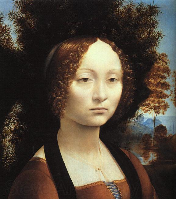  Leonardo  Da Vinci Portrait of Ginerva de'Benci-u France oil painting art